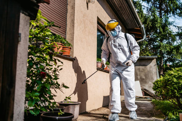 Best Termite Control Services  in Iroquois Point, HI