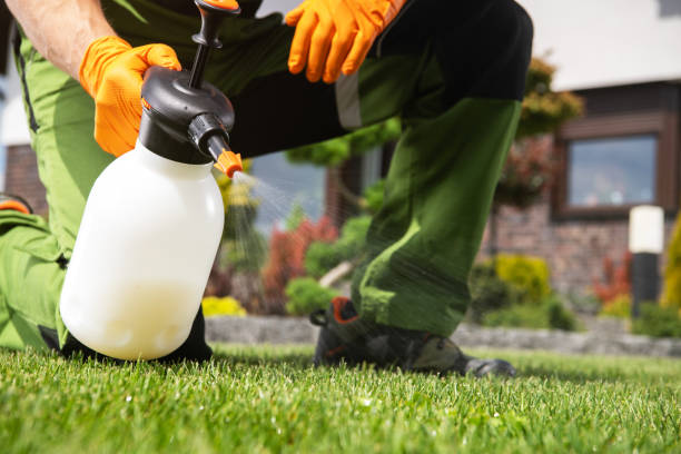 Best Wasp Removal Services  in Iroquois Point, HI