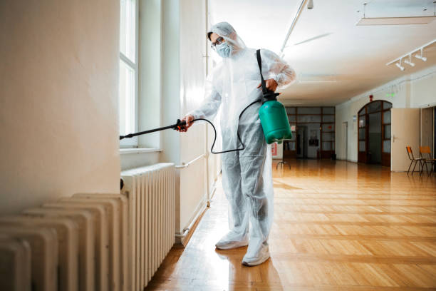 Professional Pest Control in Iroquois Point, HI