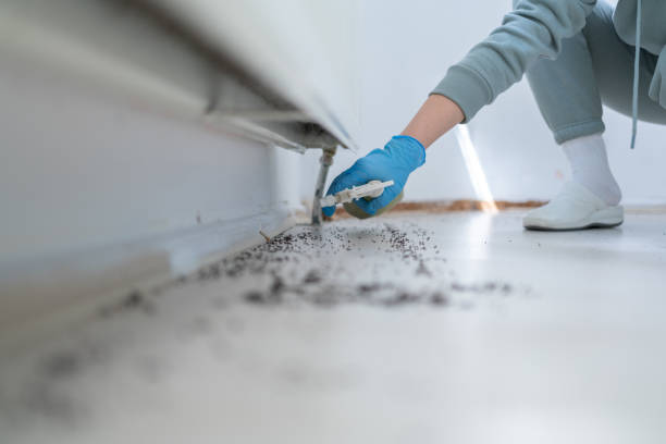 Best Cockroach Control Services  in Iroquois Point, HI